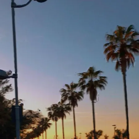 Le Margherite B&B Montesilvano Marina